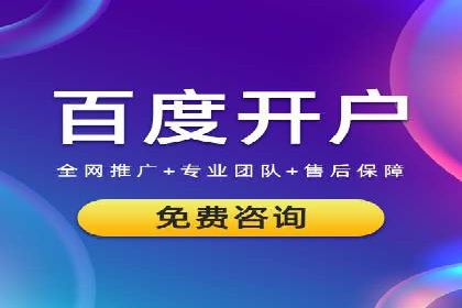某电商平台的SEM优化托管实践与效果评估